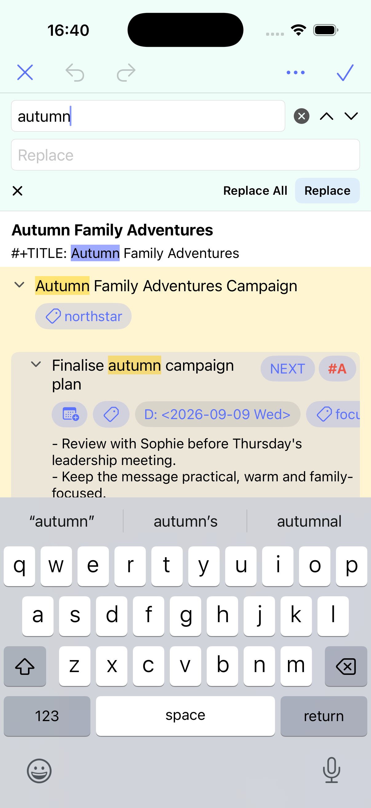 Find and Replace controls displayed above an outline